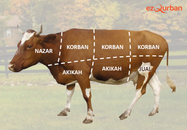 Korban dan Akikah digabungkan sekali?